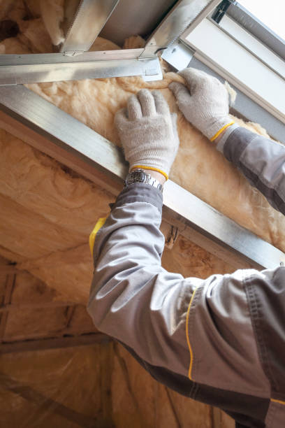 Insulation for Commercial Buildings in Horse Cave, KY