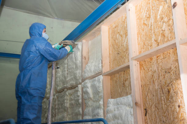 Best Insulation Contractors for Homes  in Horse Cave, KY