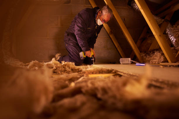 Best Insulation Removal  in Horse Cave, KY